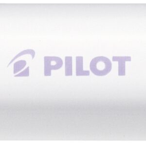 PILOT Marker Pintor M