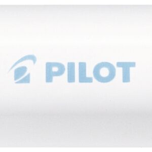 PILOT Marker Pintor M