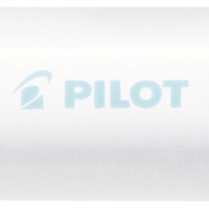 PILOT Marker Pintor M