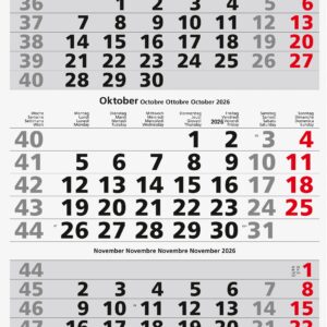 3-Monats-Wandkalender international